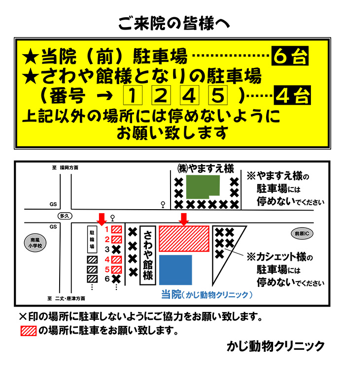 ご来院の皆さまへ