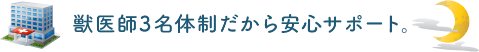 安心のサポート体制