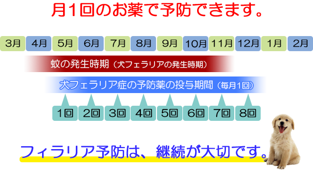 フィラリア予防 かじ動物クリニック